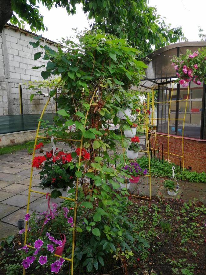 Ferienwohnung Casa Flor Două Mai Exterior foto