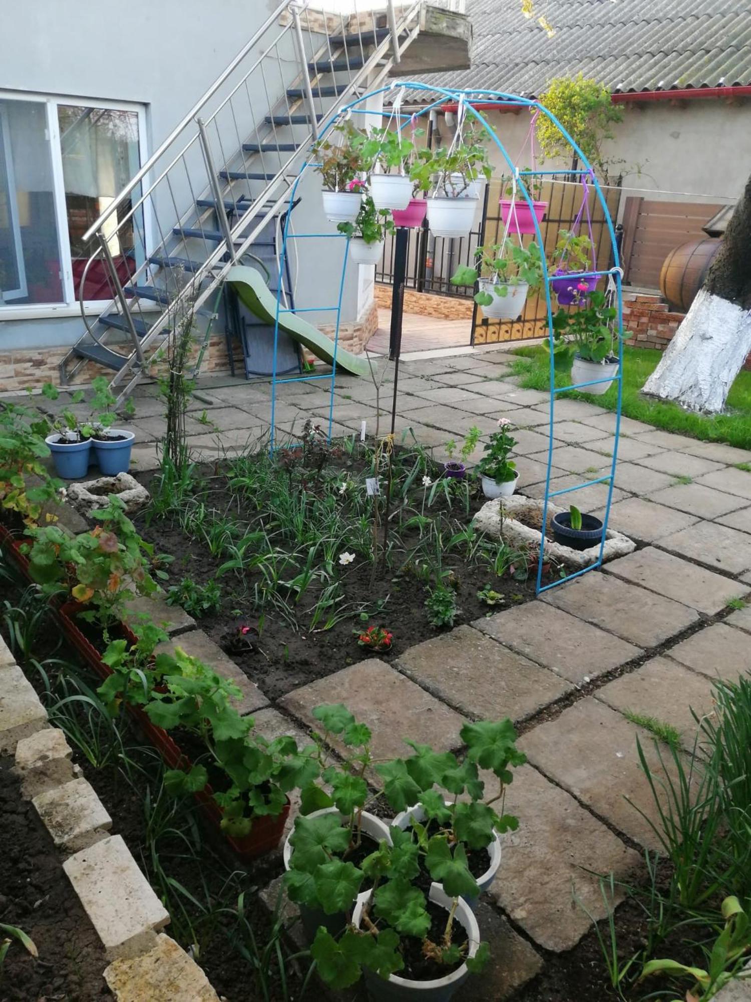 Ferienwohnung Casa Flor Două Mai Exterior foto